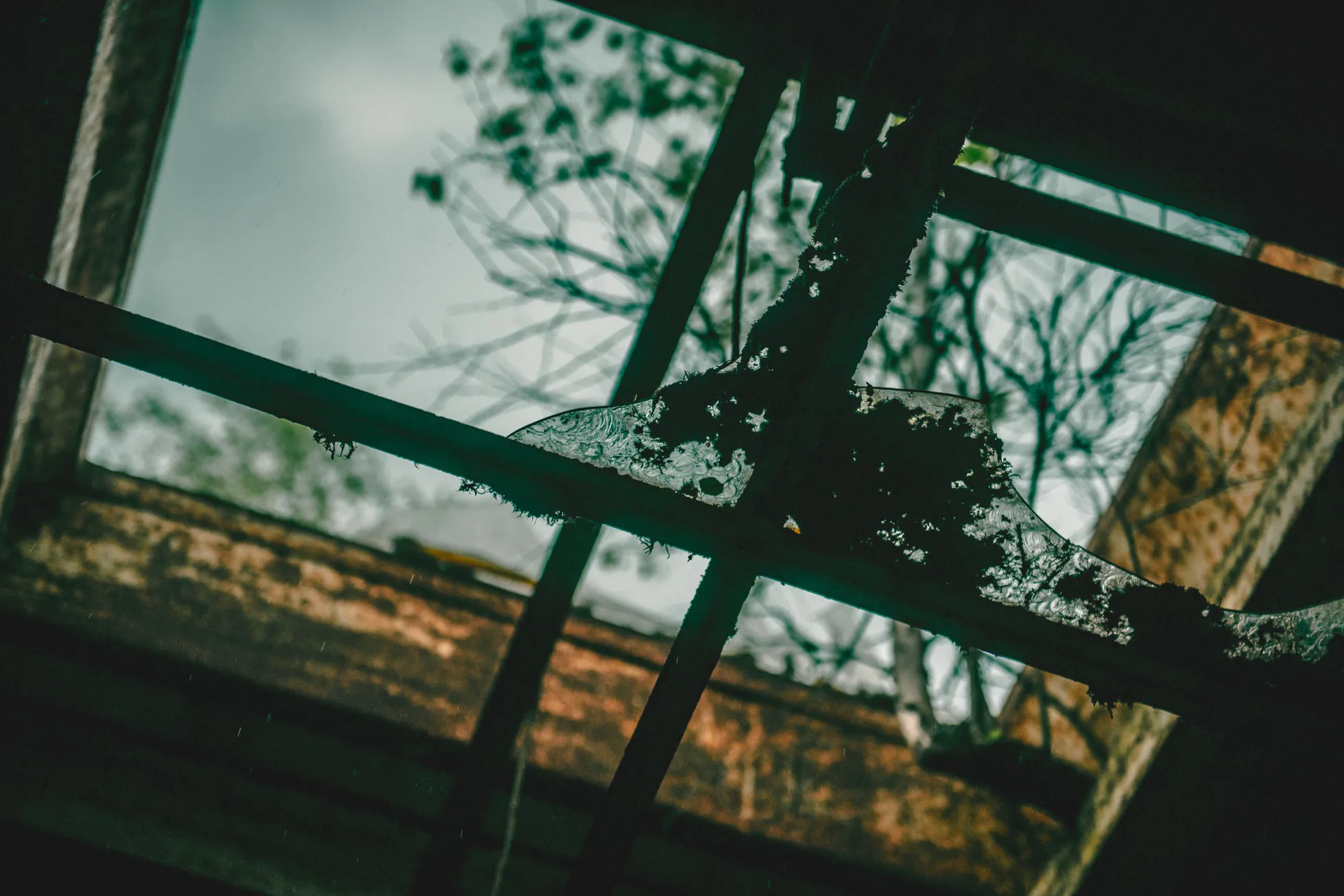 Фото статьи