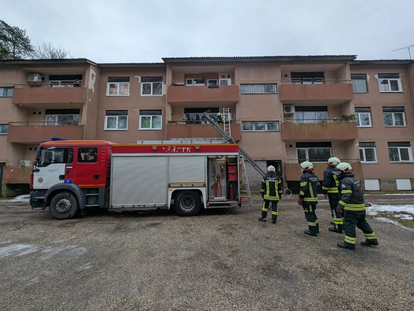 Artikli foto