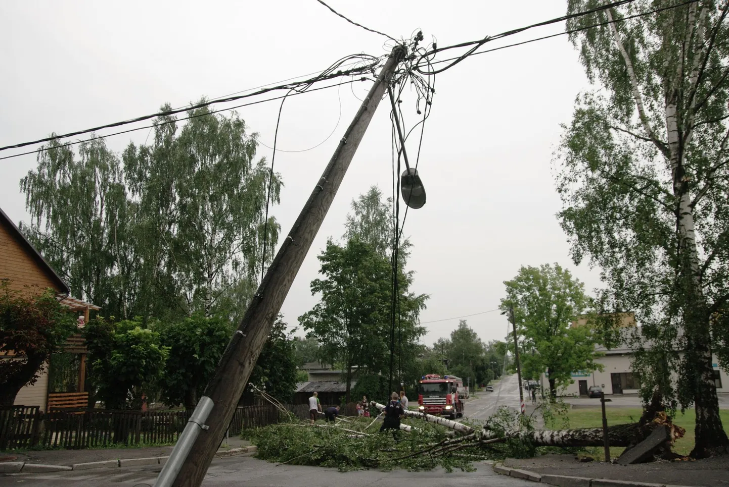 Последствия шторма в Тарту