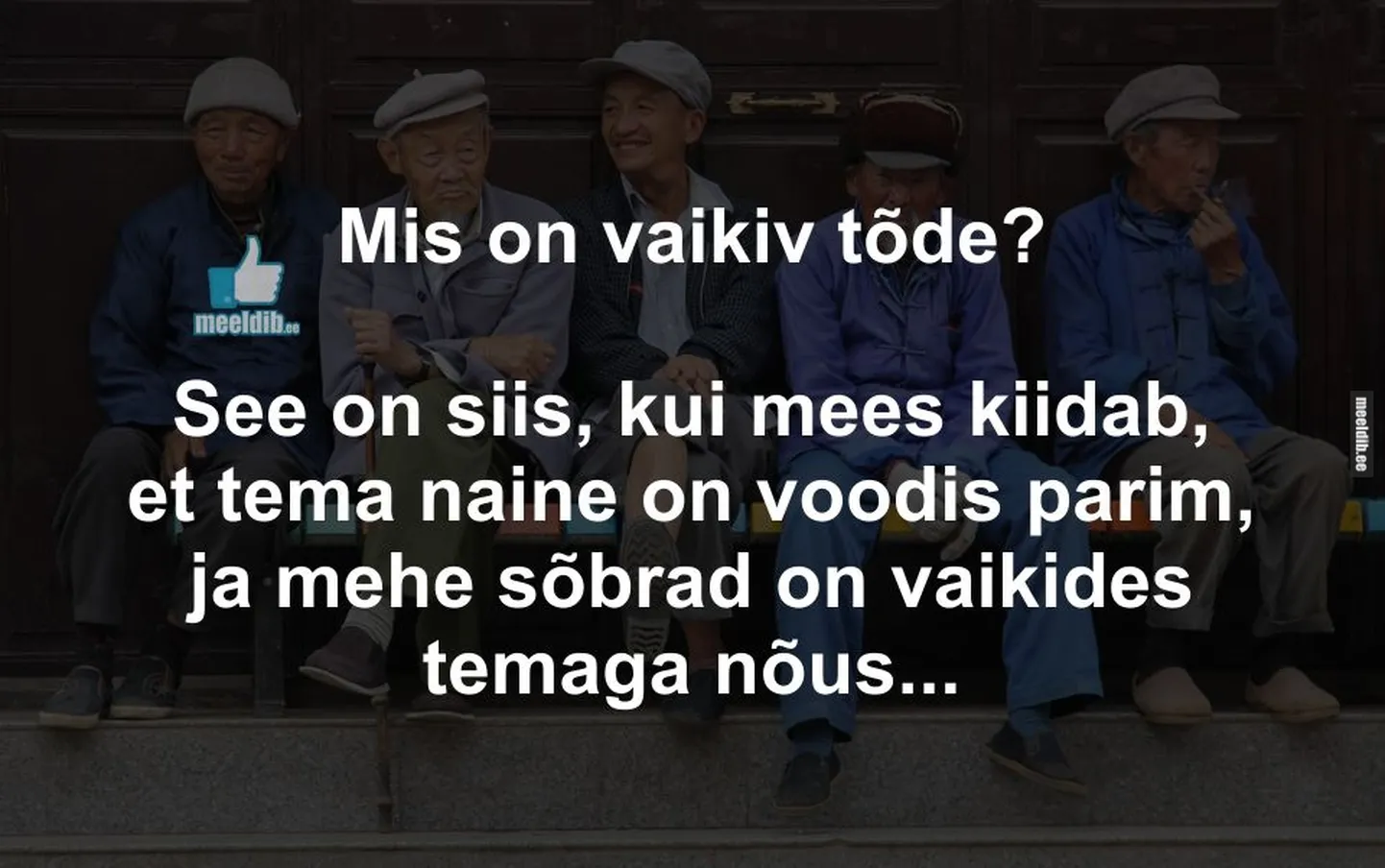 Artikli foto