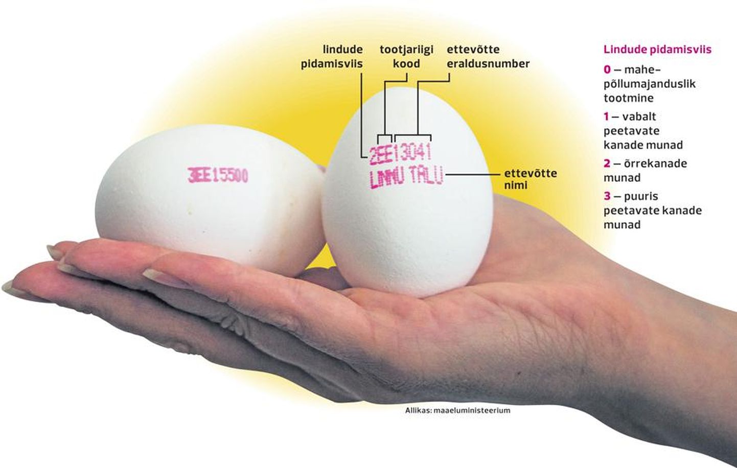 Маркировка яиц показывает, в каких условиях и в какой стране держат кур.