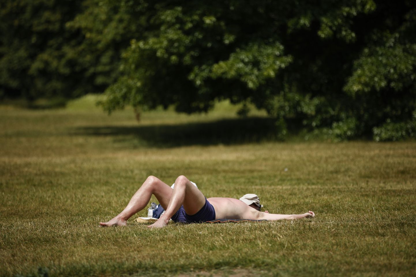 Mees Londonis Hyde Parkis päikest püüdmas. Suurbritannias tõuseb tuleva nädala algul õhutemperatuur üle 40 kraadi.