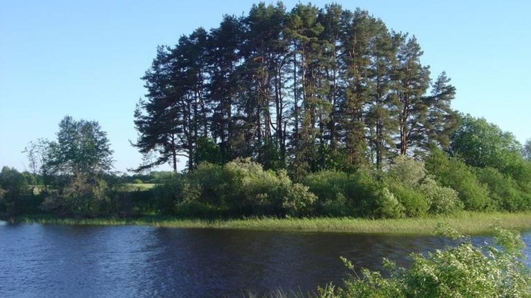 Риннюкалнс на берегу реки Салацы в Латвии - известная стоянка древних людей