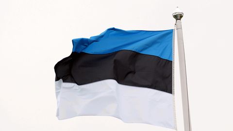 В прошлом году 17 россиян просили убежища в Эстонии