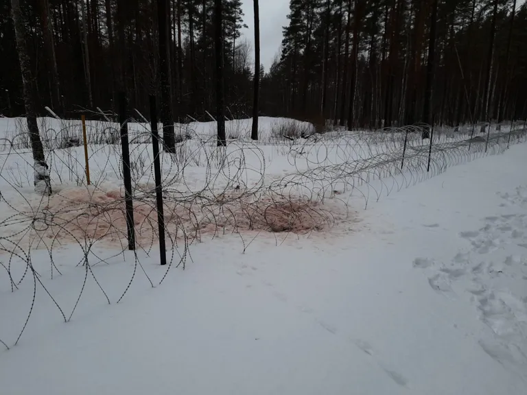 Piiritara ääres hukkus põder