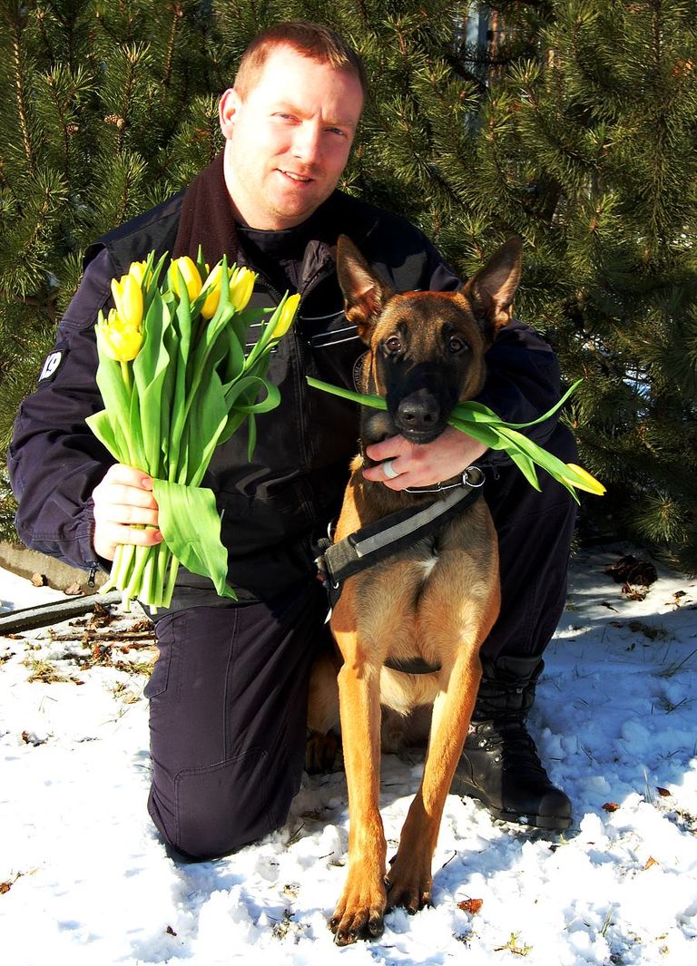 Tartu politseijaoskonna koerajuht Aleksei ja tema neljajalgne paarimees politseikoer Vedur.