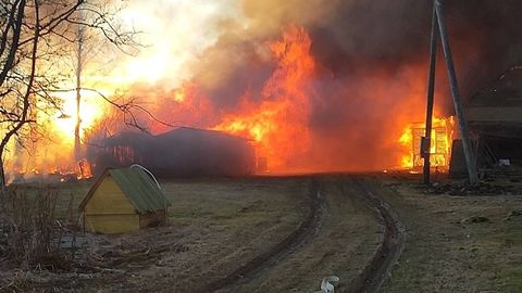 Möödasõitjad tõid põlengust elaniku välja