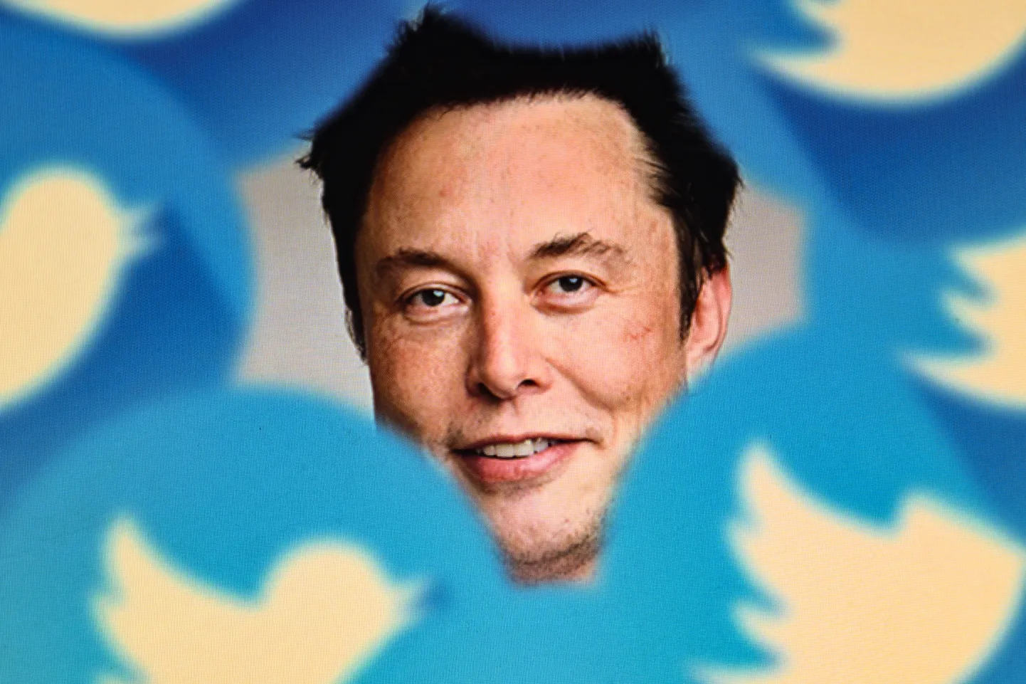 Elon Musk.