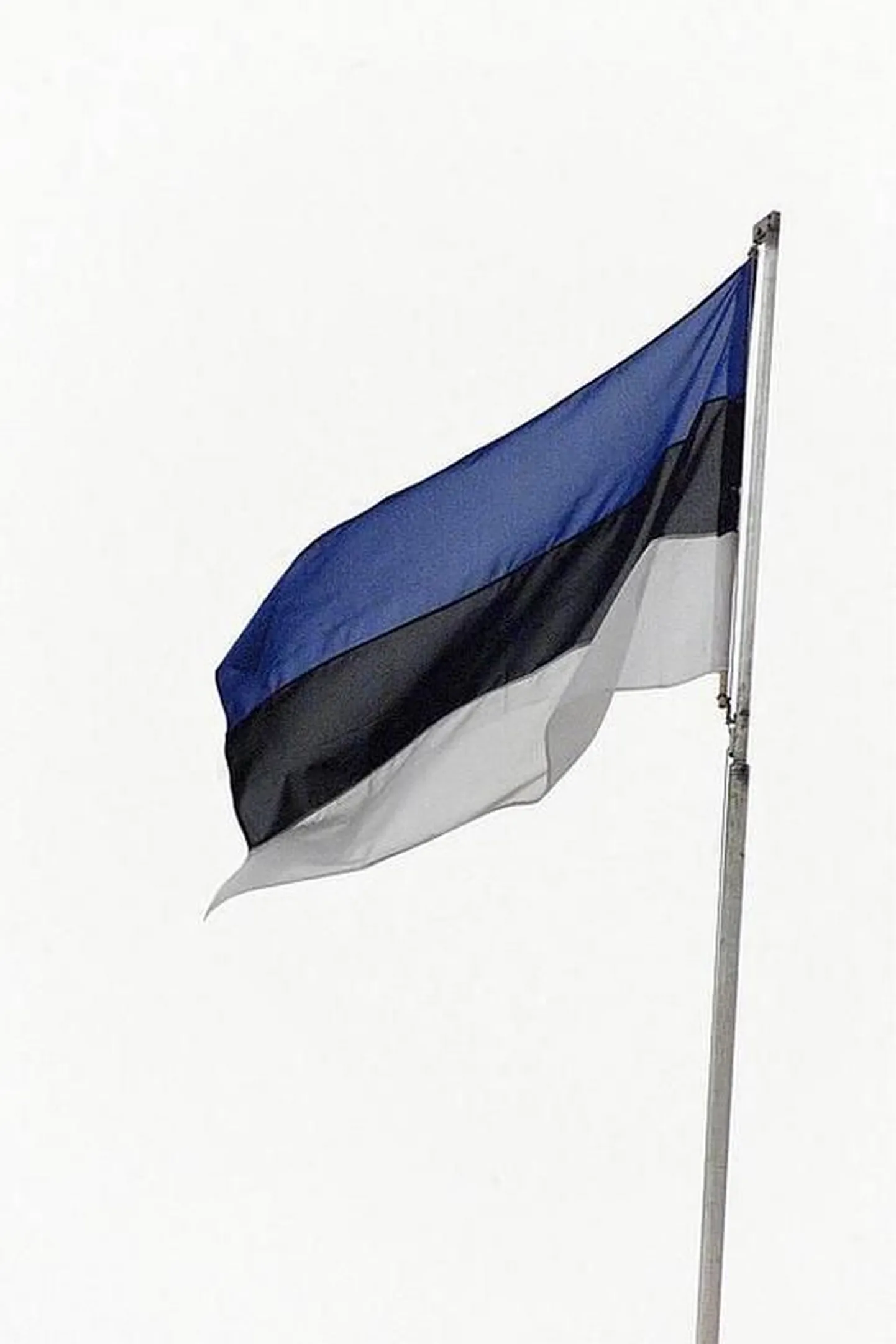 Eesti lipp.