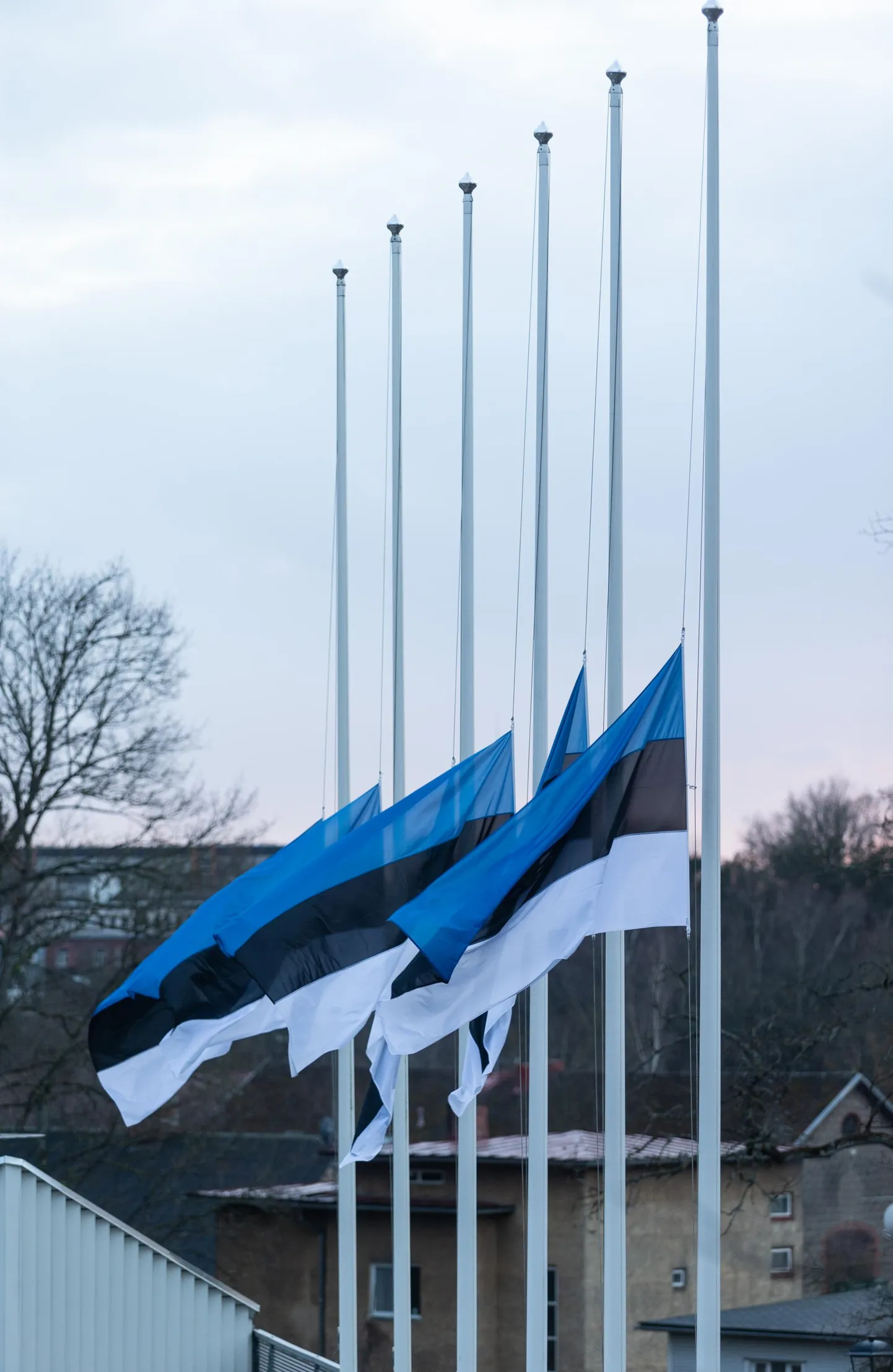 Täna on riigilipud pooles mastis.
