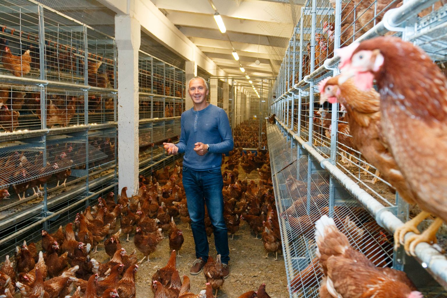 Linnu talus on nii puuri-, õrre- kui ka vabapidamisel kanad ja Jarno Hermeti sõnul pole munade maitses ja koostises vahet. Maitse oleneb söödast. „Seda oleme märganud, et õrre- ja vabapidamisel kanadel pole nii suurt stressi, mis tekib paigalolemisest,” märgib ta.