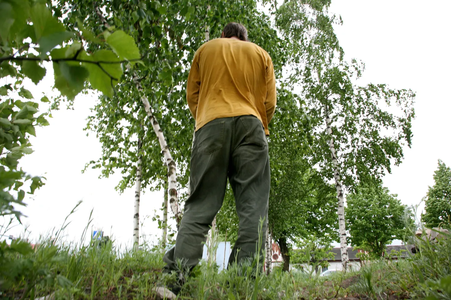 Selline vaatepilt ei ole Eestis haruldane.