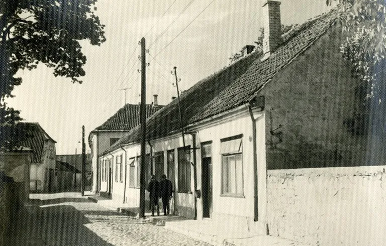 Artikli foto