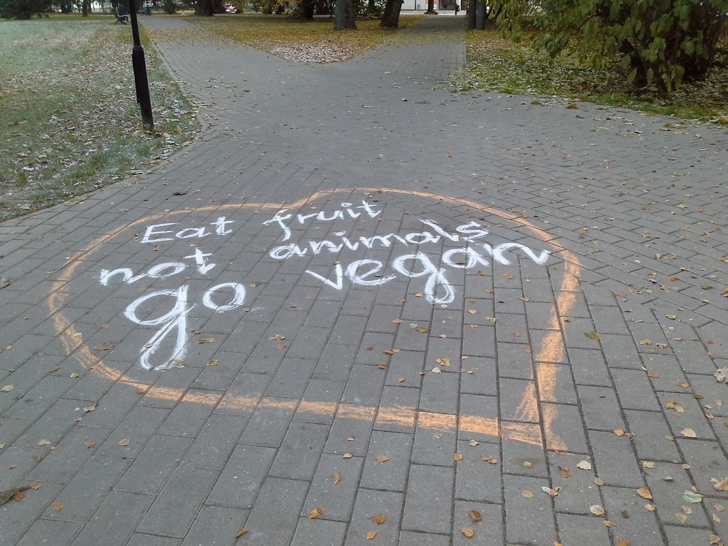 Ülejõe pargi kõnniteedele on kriitidega joonistatud südameid, mille sisse kirjutatud tekstid kutsuvad üles veganlusele.