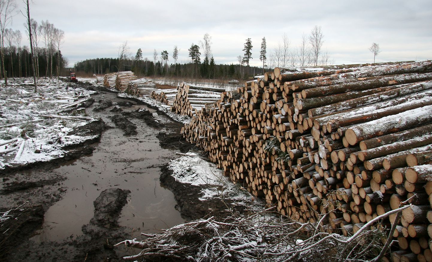 После нынешней зимы восстановление лесных дорог обойдется дороже обычного.