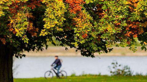 PÄEVAHOROSKOOP ⟩ 17. september: Sõnne kannavad hea vaist ja sisemine tasakaal, Neitsid leiavad muutuste kaudu püsiva hingerahu