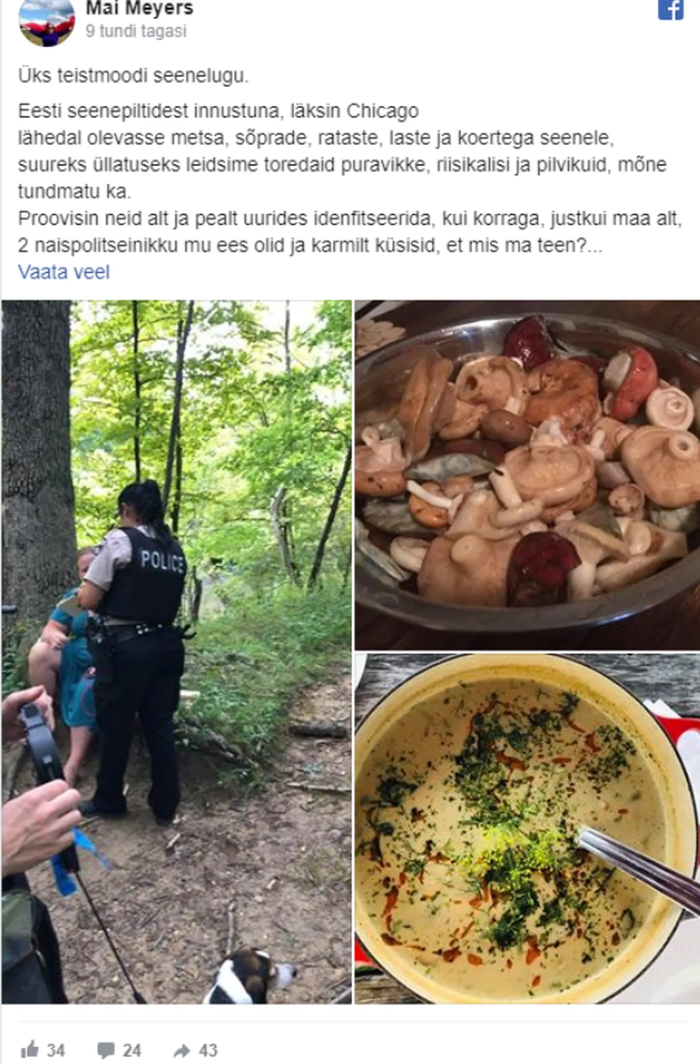 Artikli foto