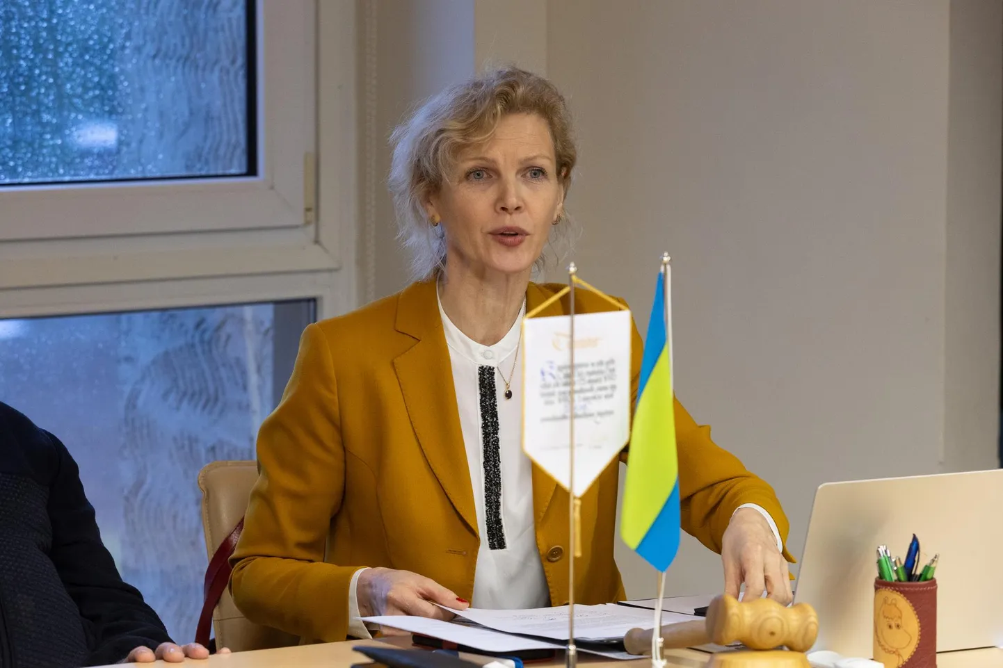 Vinni vallavolikogu istungil läks sõnavahetuseks ja esimees Evelin Poolamets ägestus valla juristi palve peale.