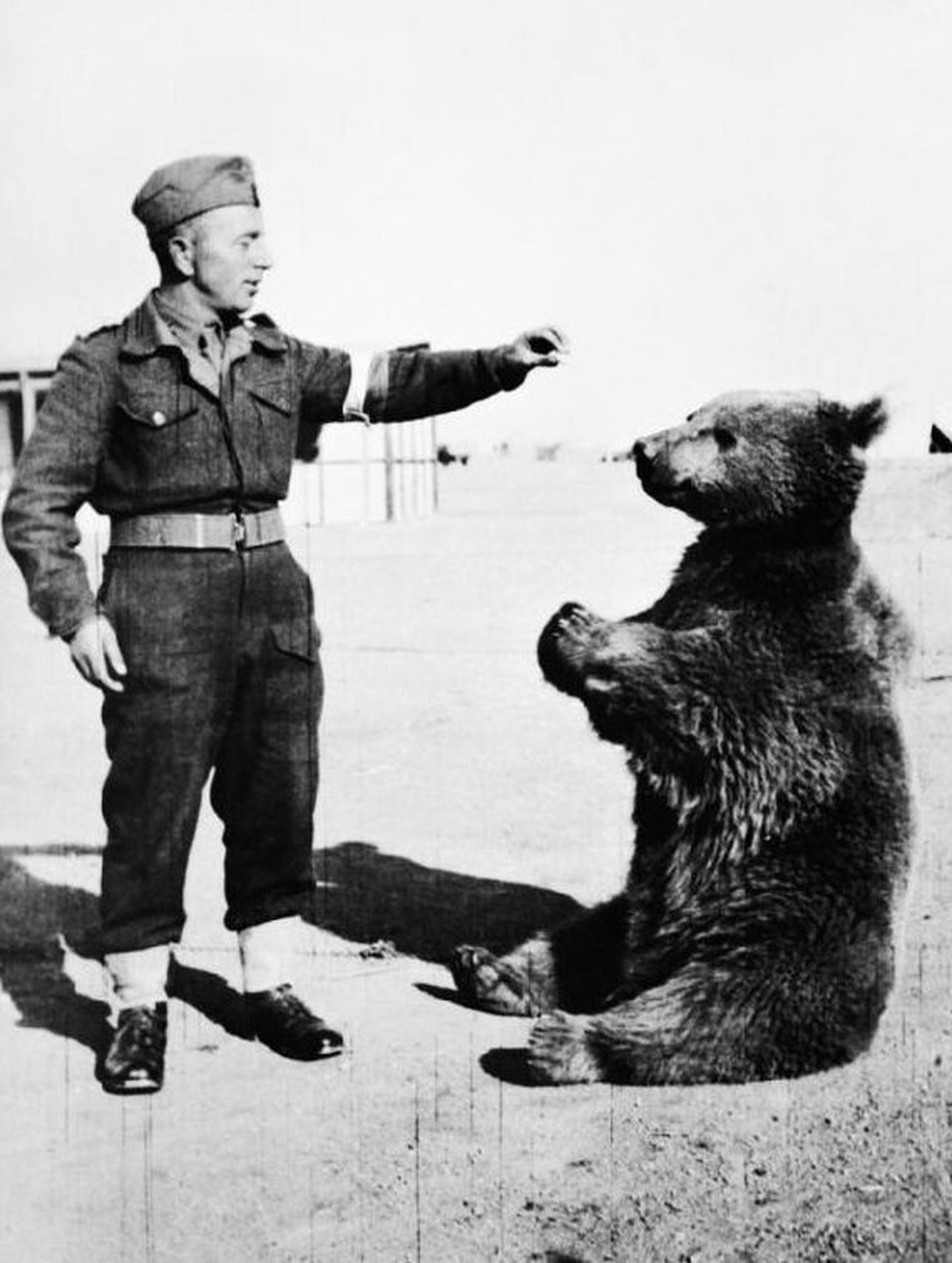 Karu Wojtek ja Poola sõdur
