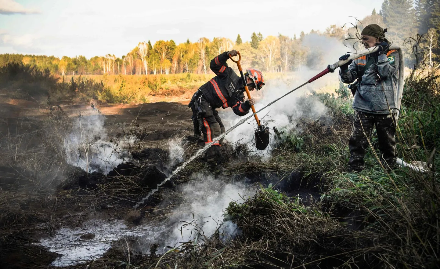 Greenpeace’i aktivistid kustutavad koos kohalike elanikega turbapõlengut Suzunski metsas Šipunovo küla lähistel. Pinna all on seal tuli hõõgunud juba mitu aastat.