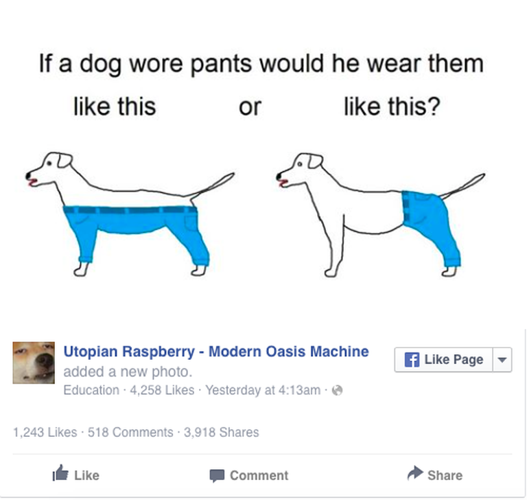 Kuidas siis koer peaks pükse kandma? Foto: 