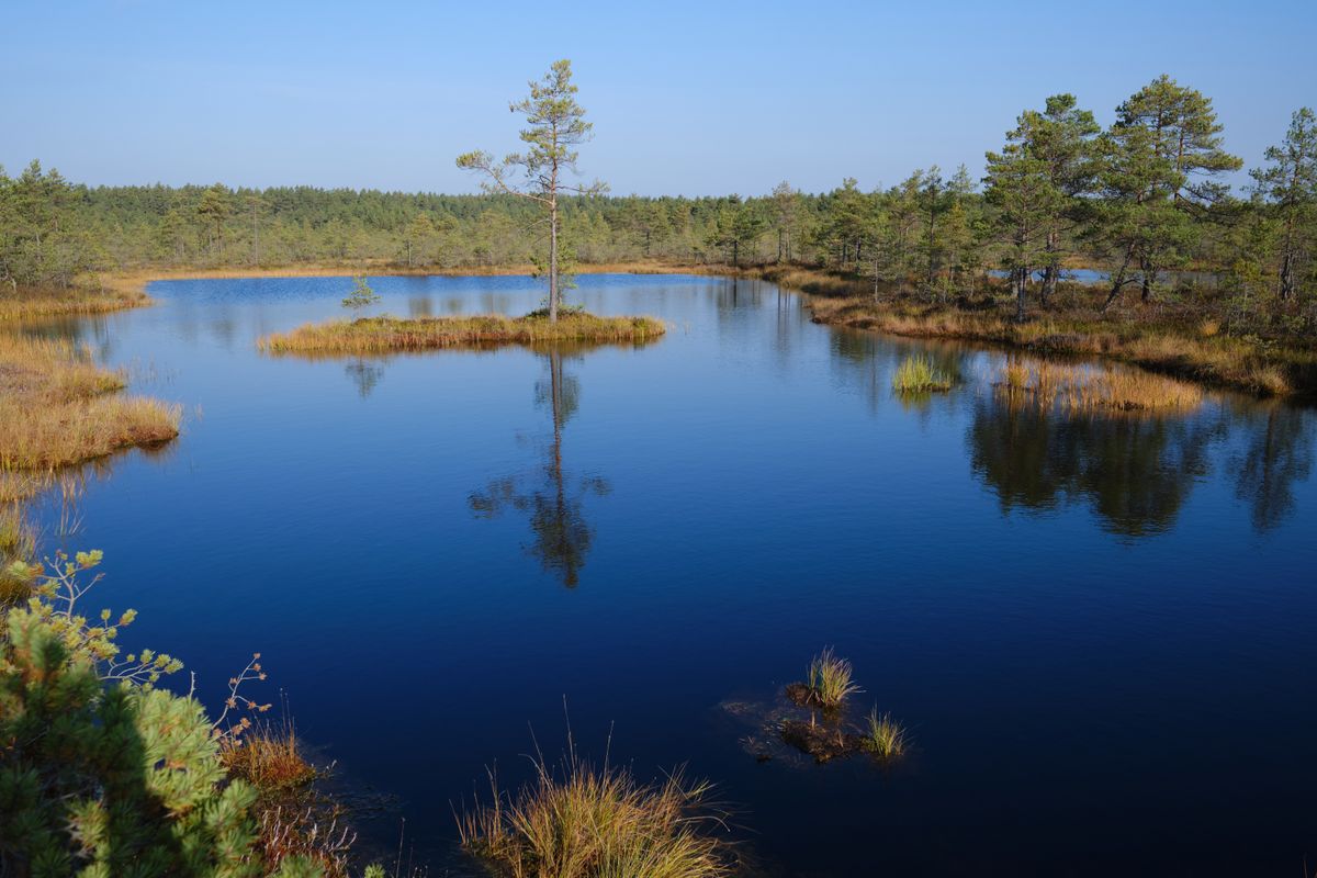 Eestimaa ainulaadne loodus on kaunis igal pool. Vabadust on kerge tunnetada mere ääres, metsas, rabas, vaikuses.