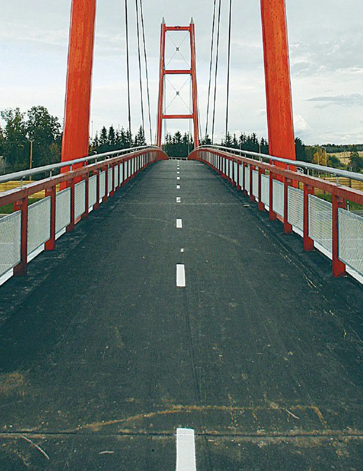 Vaida jalakäijate sild 2008. aastal vahetult pärast valmimist.