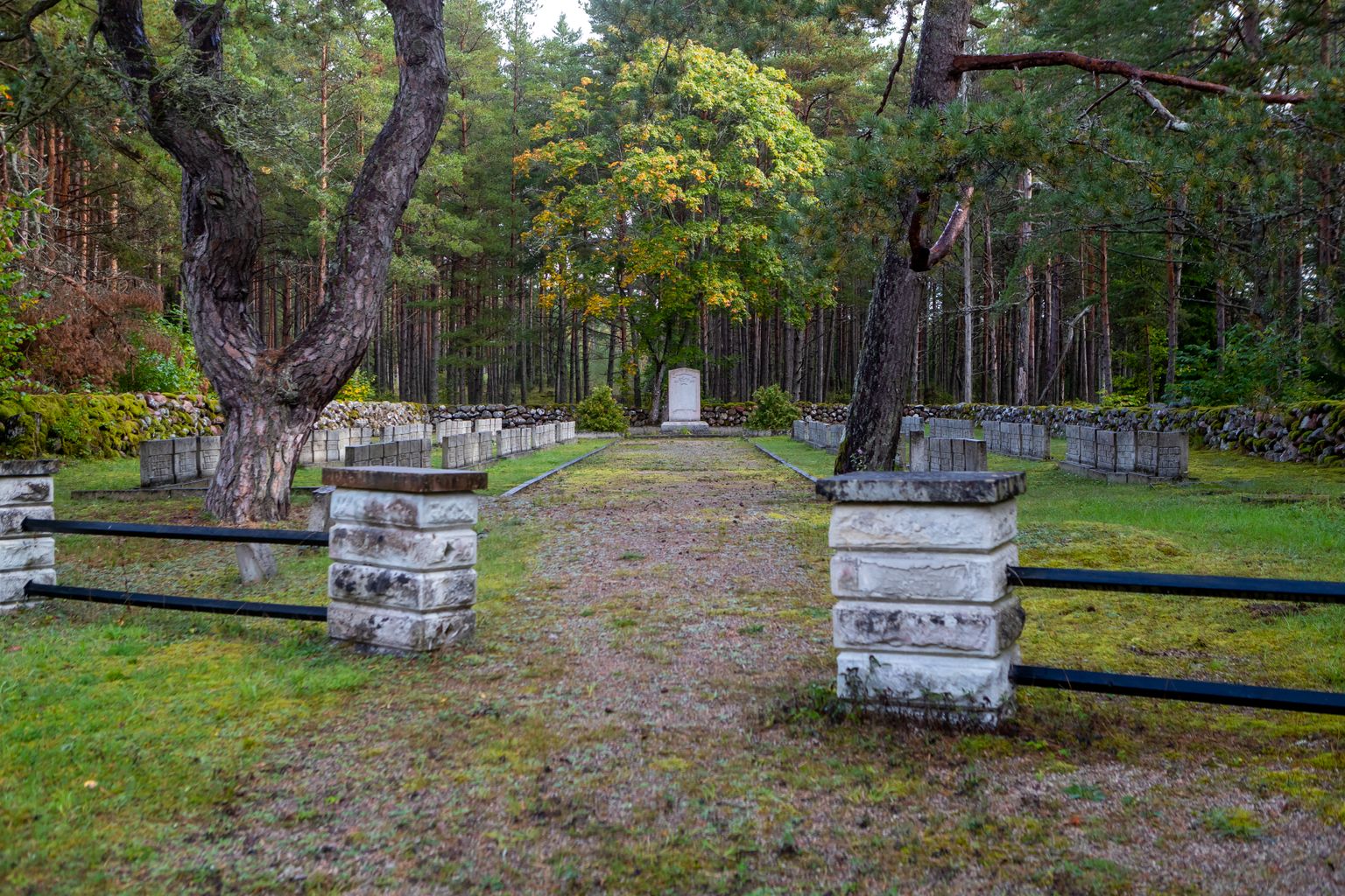 Tiirimetsa lähistel metsas asuvale Vananõmme kangelaskalmistule on maetud 244 luustikku.