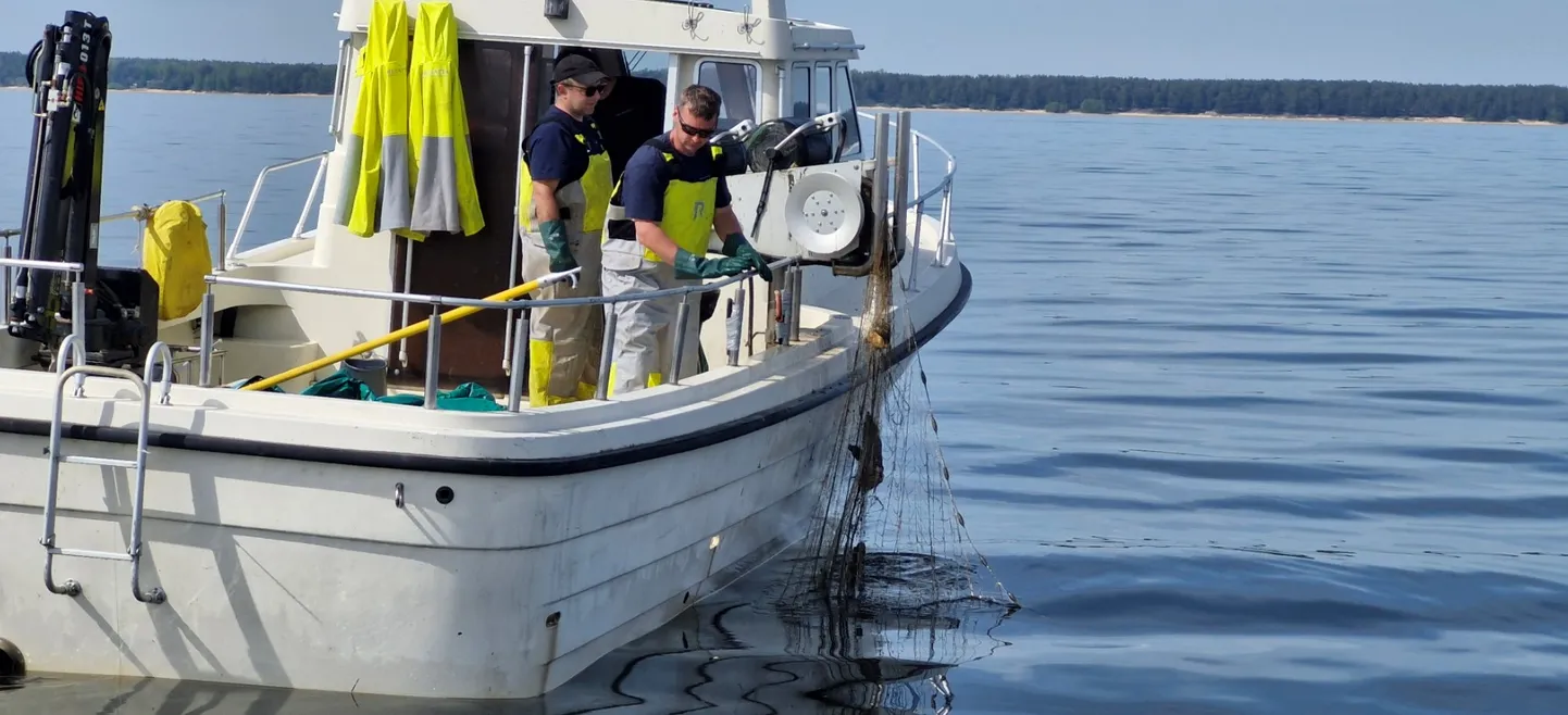 Neljal talgupäeval aitas Peipsit puhastada iga päev 12 paatkonda. Kokku läbiti tragimispäevadel veekogul ligikaudu 3000 kilomeetrit ning panustati hinnanguliselt 1000 töötundi.