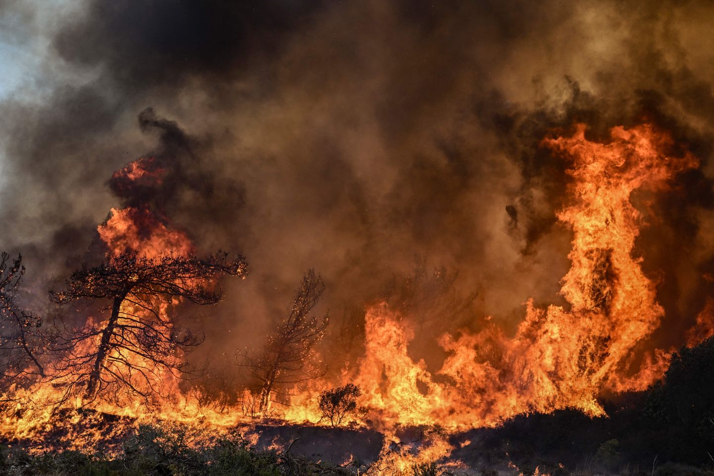 Природный пожар на острове Родос 25 июля.
