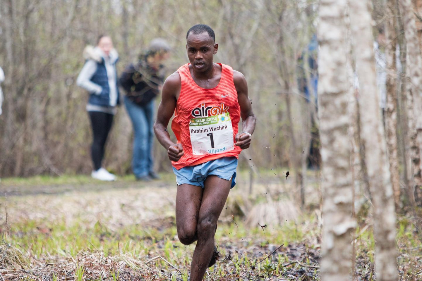 Mullu võitis Ibrahim Wachira Mukunga ümber Viljandi järve jooksu kolmandat aastat järjest. Nüüd teatas ta, et tänavusel jooksuvõistlusel ta ei osale.