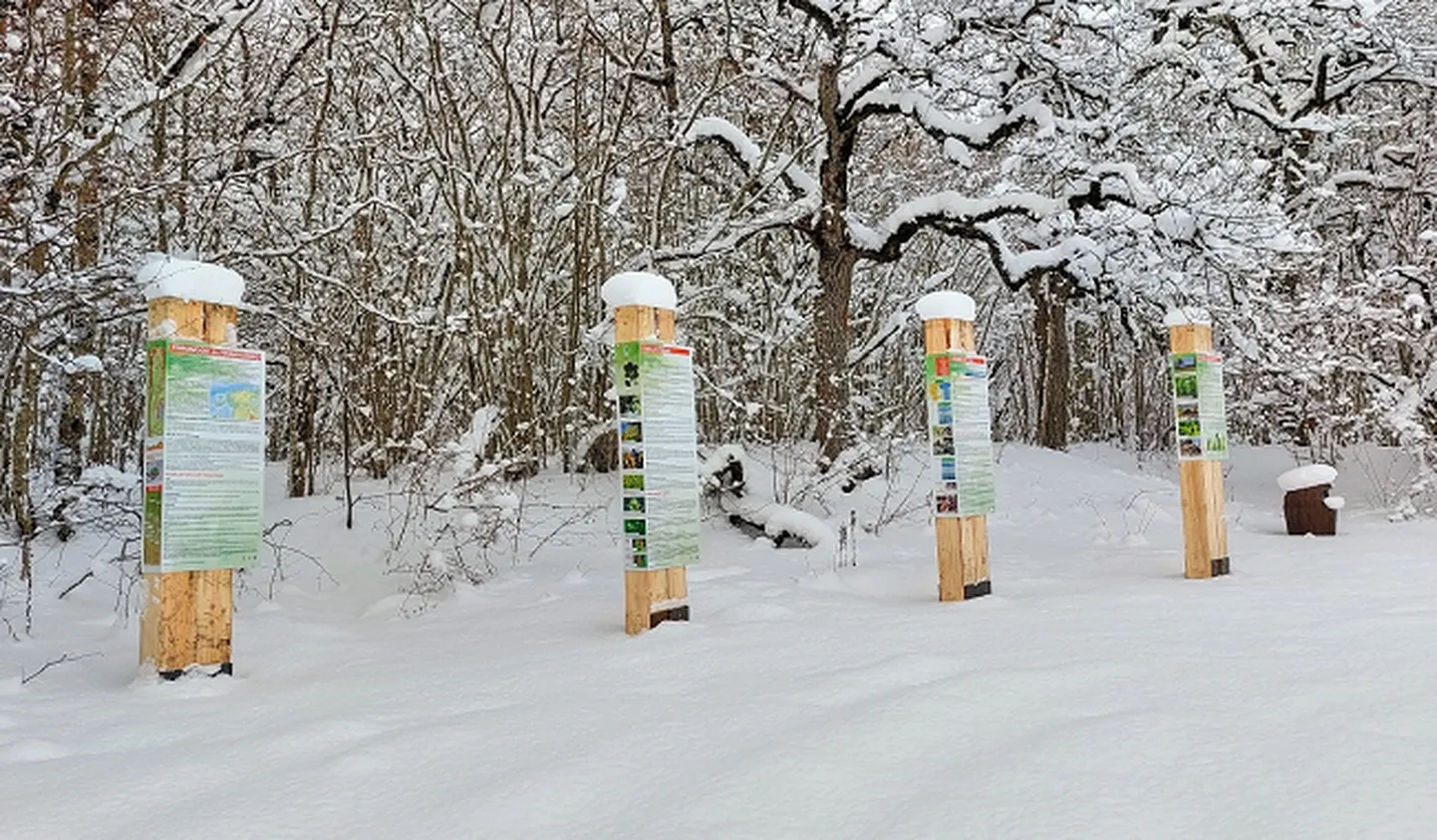 Rakvere tammiku õpperada