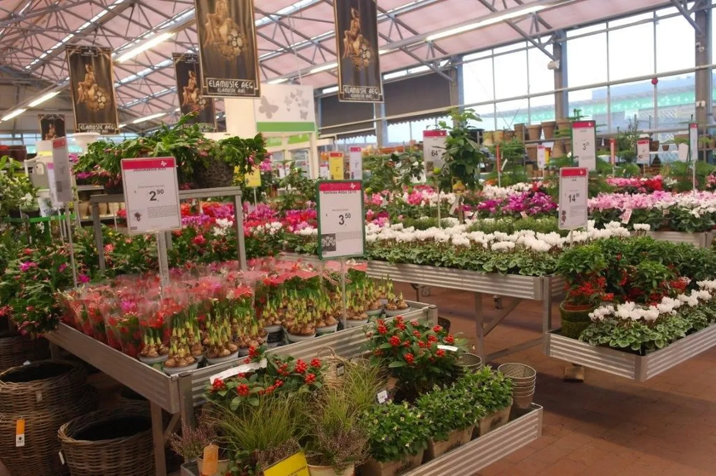 Hortes.