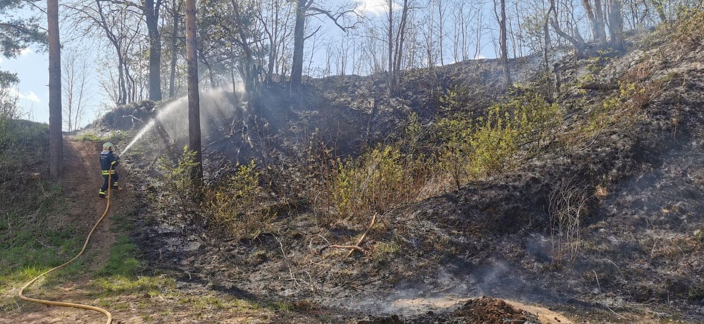 6. mail põles Kanepi vallas Põlgaste külas kulu poole hektari ulatuses.