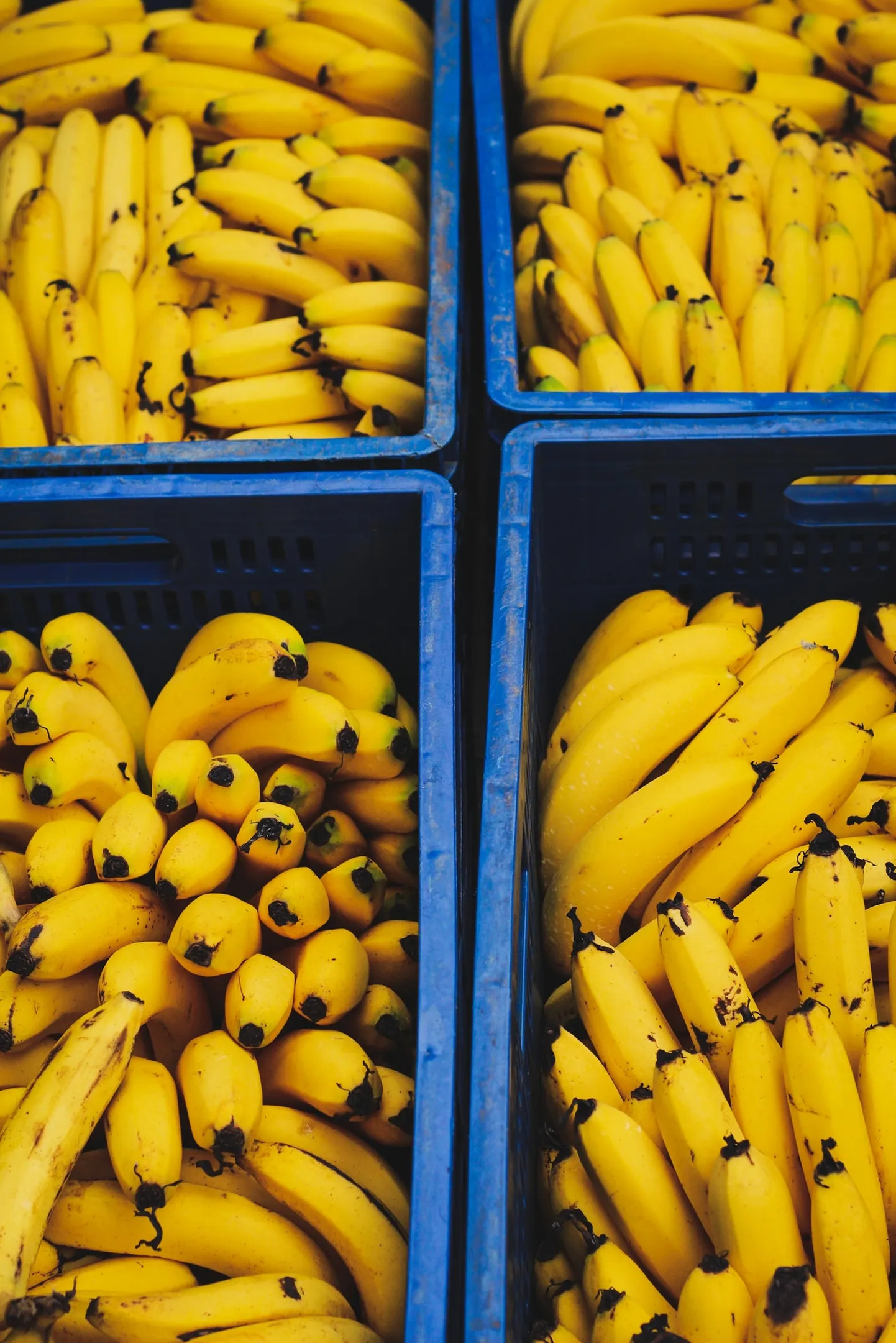 Banaanid. Pilt on illustratiivne.