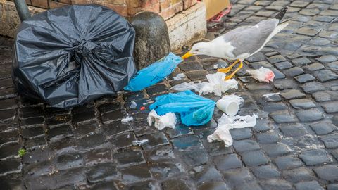 Kāpēc visiem mājas iedzīvotājiem jāmaksā par kaimiņa nepareizi izmesto banāna mizu?