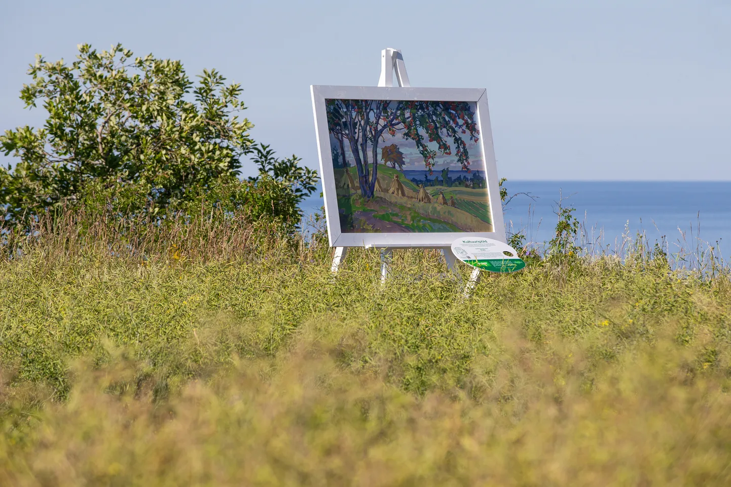 Anatoli Kaigorodovi maali "Sügis" leiab Valastel asuvalt põllult.