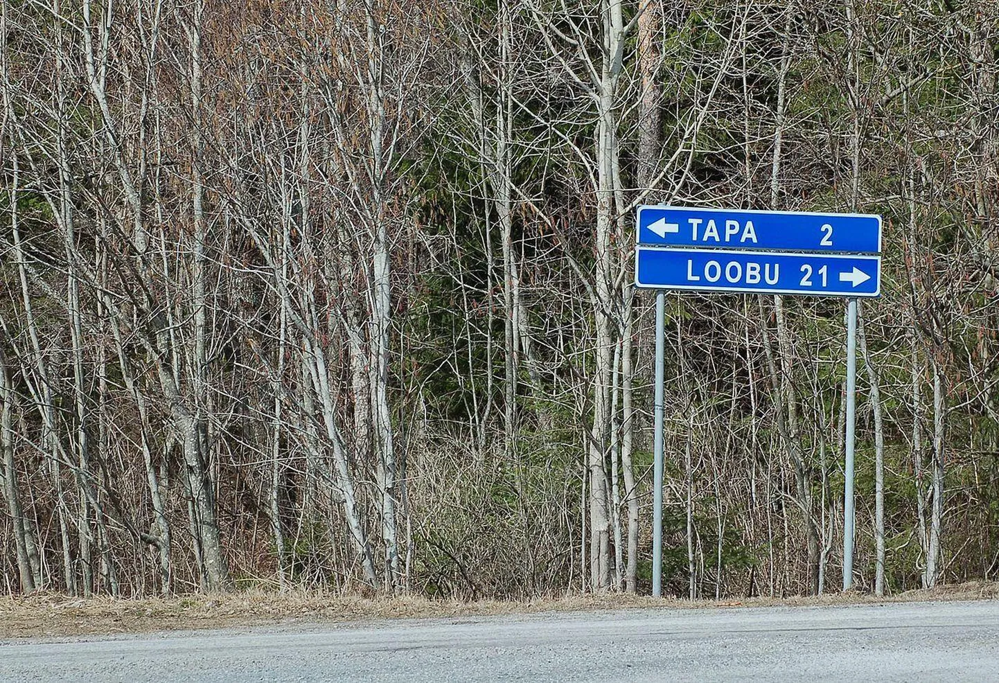 Kentsakate kohanimede üle saab ka nalja visata – pilt Tapa–Loobu teel olevatest suunaviitadest illustreeris kohanimepäeval ka üht ettekannet.