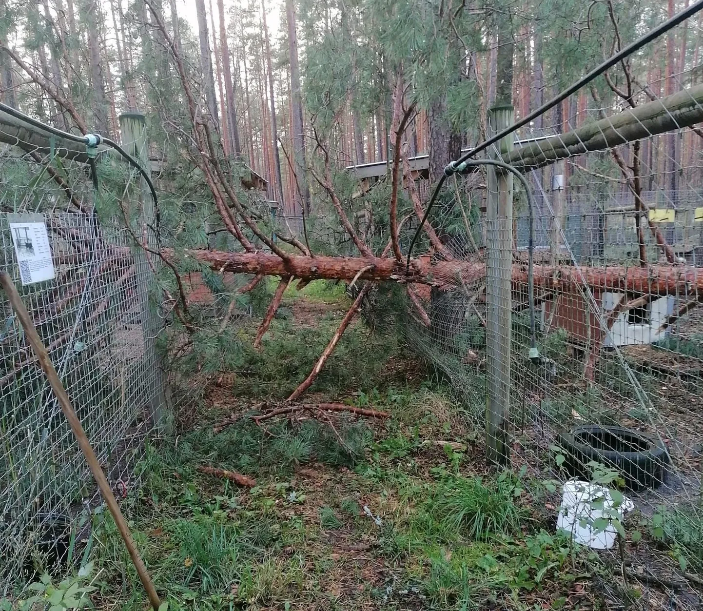 Поврежденные ограждения в приюте Ulubele