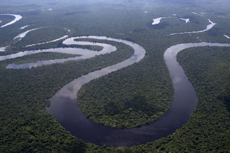 Amazonase džungel