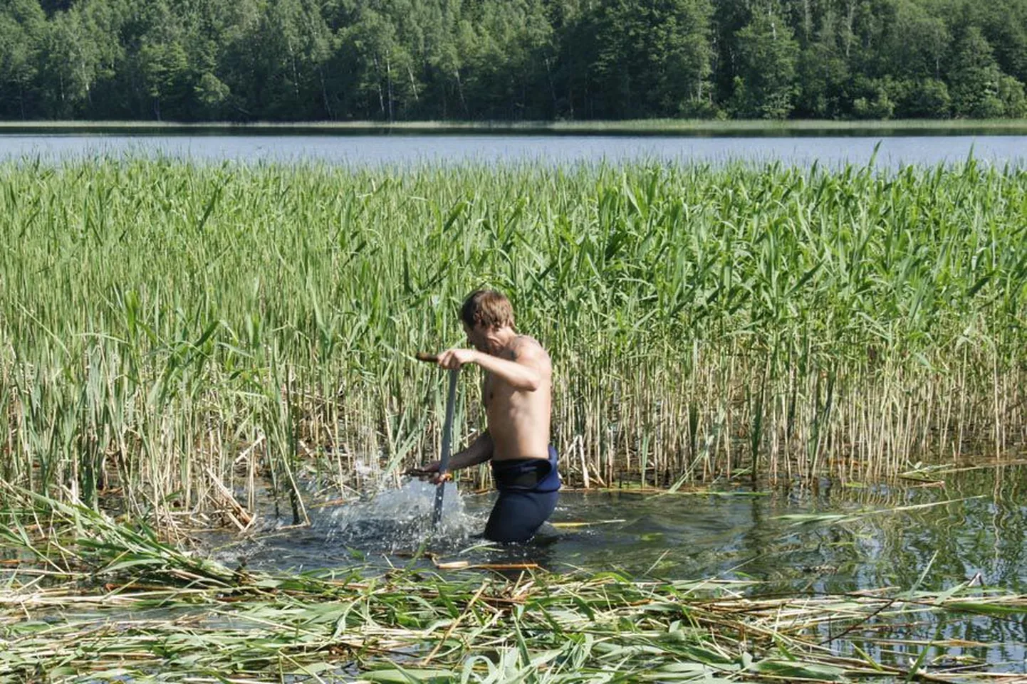 Trotsides kõrvetavat suvepäikest, niitis Bangalo omanik Urmet Peterson kolmapäeval ise rannajoonel pilliroogu.