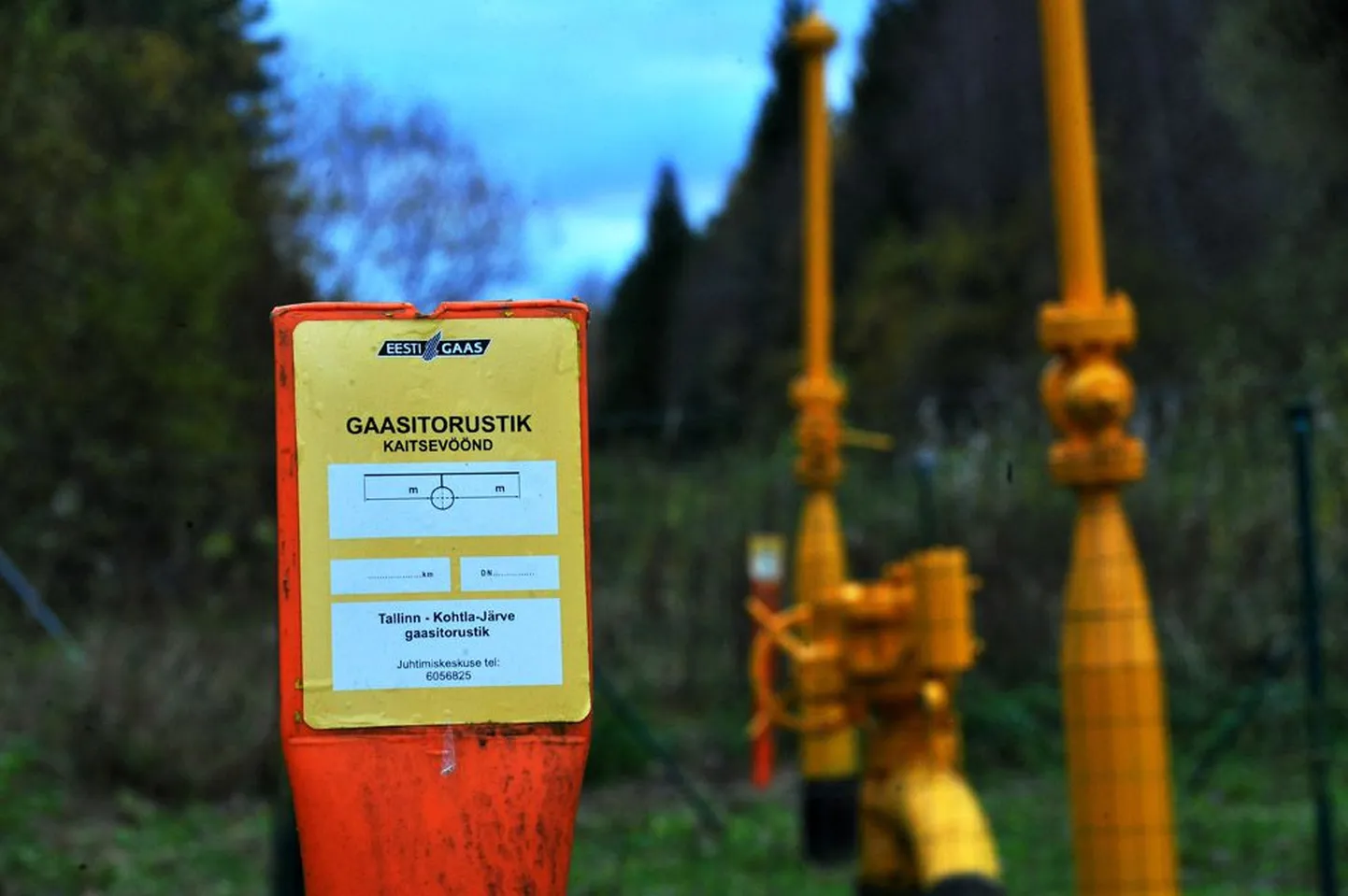 Gaasivõrk tuleb Eesti Gaasist eraldada lähtuvalt Euroopa energiastrateegiast. Võimalike kosilaste ring pole siiski kuigi lai.