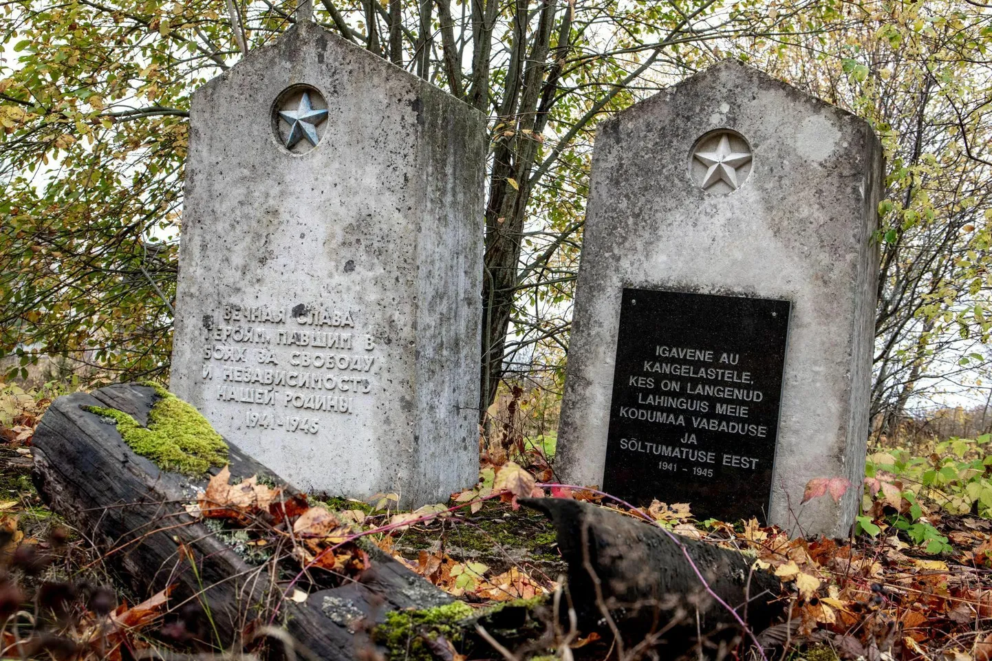 В августе в волости Ляэнеранна красноармейские памятники были перенесены за здание музея Виртсу.