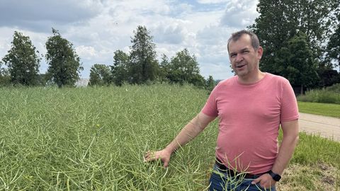 Estonian rapeseed farmers face income uncertainty despite favorable growing season