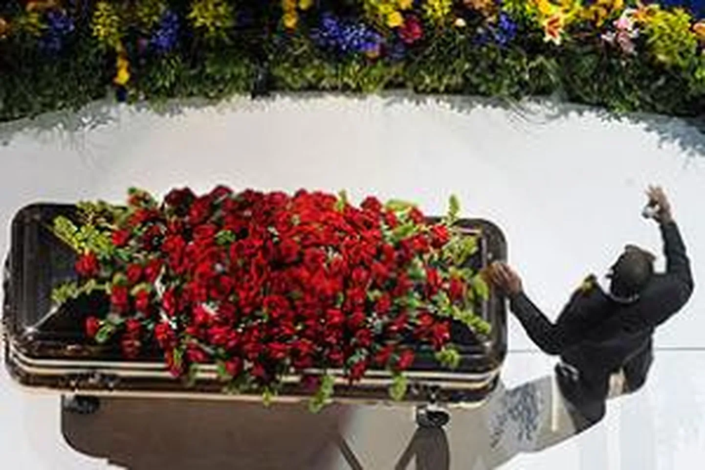 Фото статьи