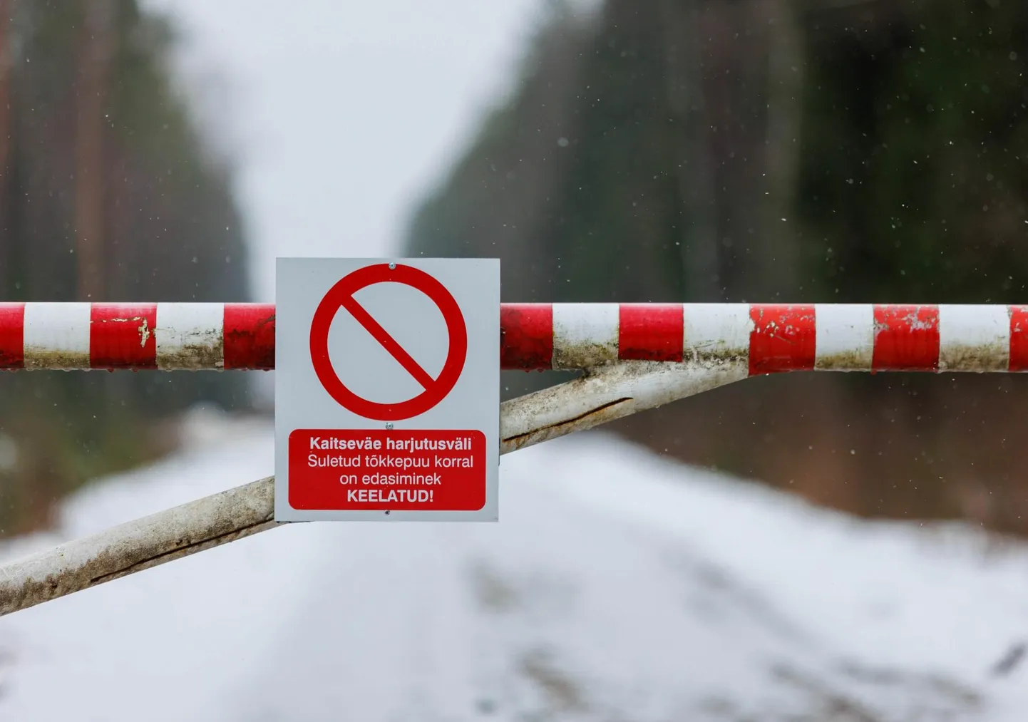 Pöördumise üks ajend oli plaan laiendada Kaitseväe Nursipalu harjutusvälja Võrumaal.