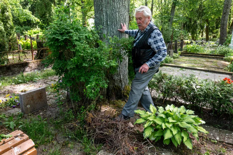 Üks varesepesadest on puuladvast tuulega maha kukkunud.