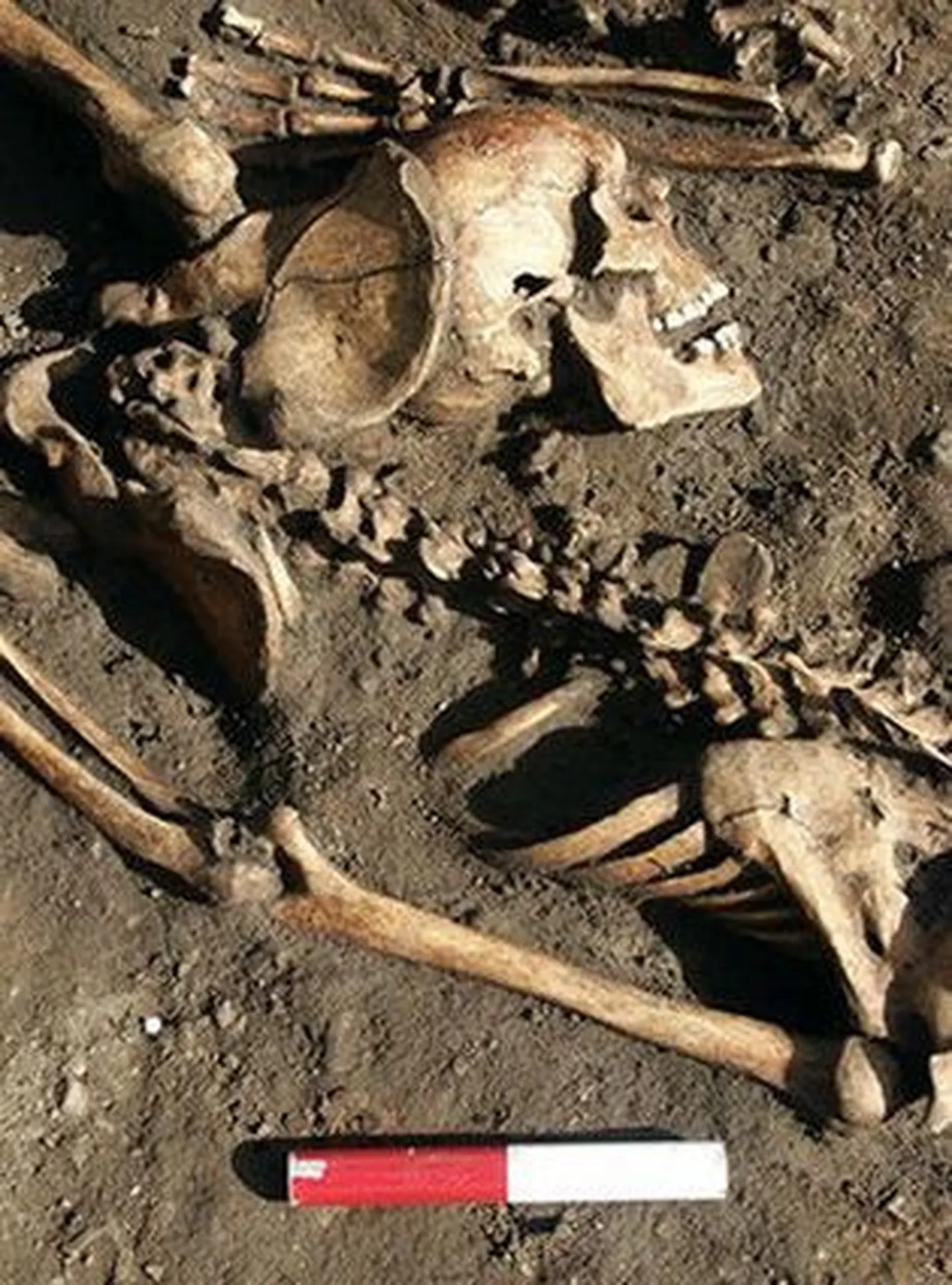 Briti saartel olid surnud gladiaatorid prügi