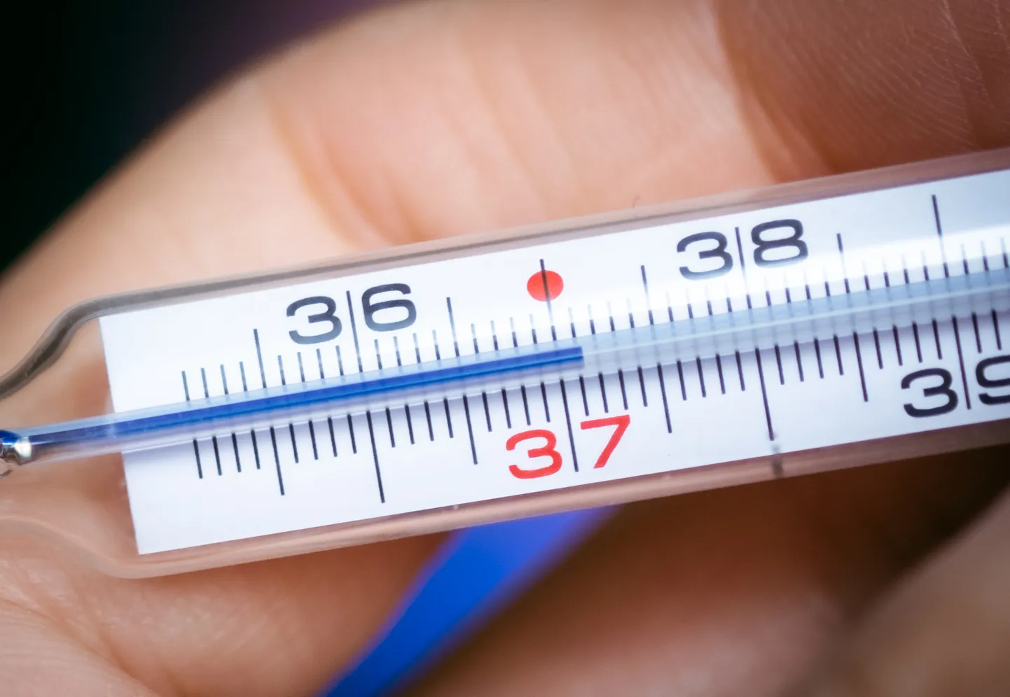 31.03.2020, Tallinn. 
Sümbolfotod kraadiklaasist erinevate kehatemperatuuridega. 

Medical thermometer, coronavirus covid-19
FOTO: MADIS VELTMAN/POSTIMEES