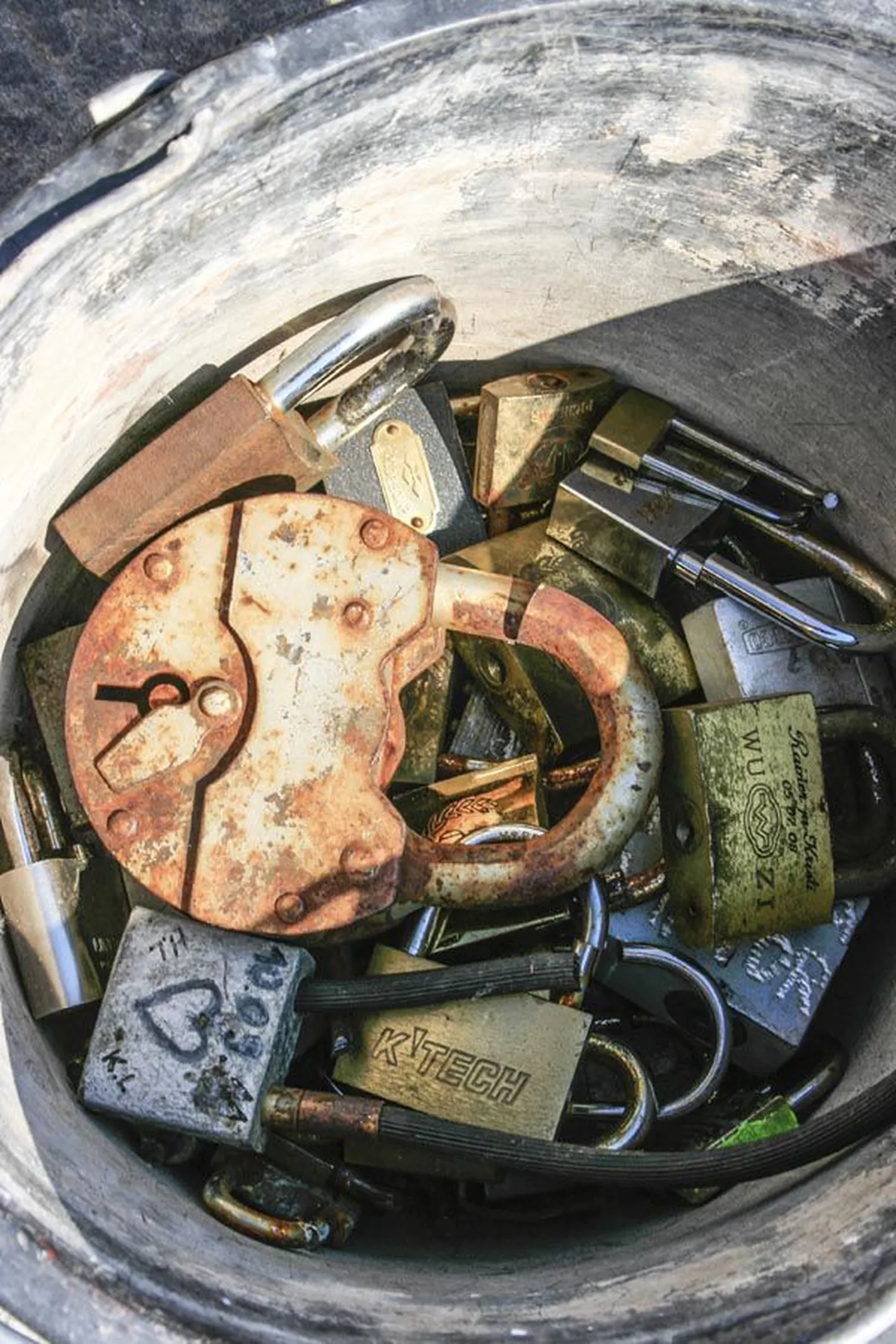 Must plastämber on poolenisti täis pulmatabasid. Tulevikus on neid võimalik linnavalitsusest kätte saada.